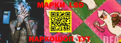 гидра Волгодонск