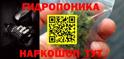 гидра Волгодонск