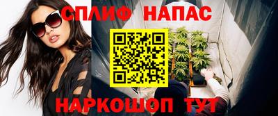 гидра Волгодонск
