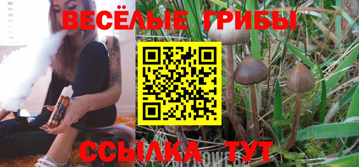 Минеральные Воды  Псилоцибиновые грибы Cubensis  Вход с VPN 