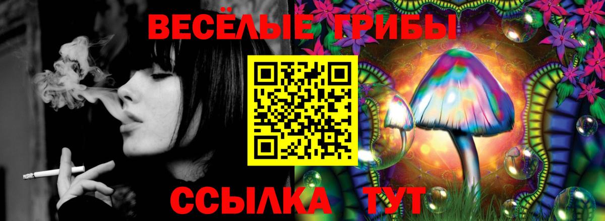 Галлюциногенные грибы MAGIC MUSHROOMS Минеральные Воды